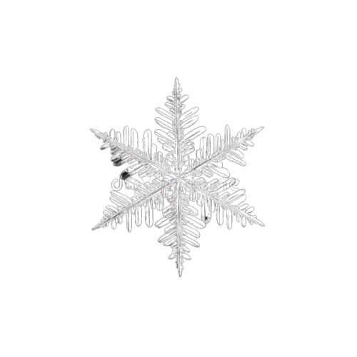 Snowflake